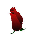 flower5.gif