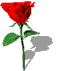 showletter2.gif